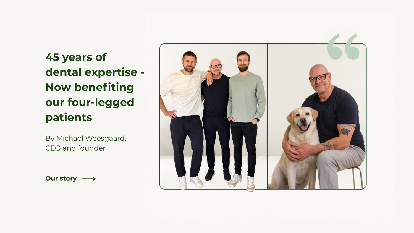 45 years of dental expertise - now benefiting our four-legged patients