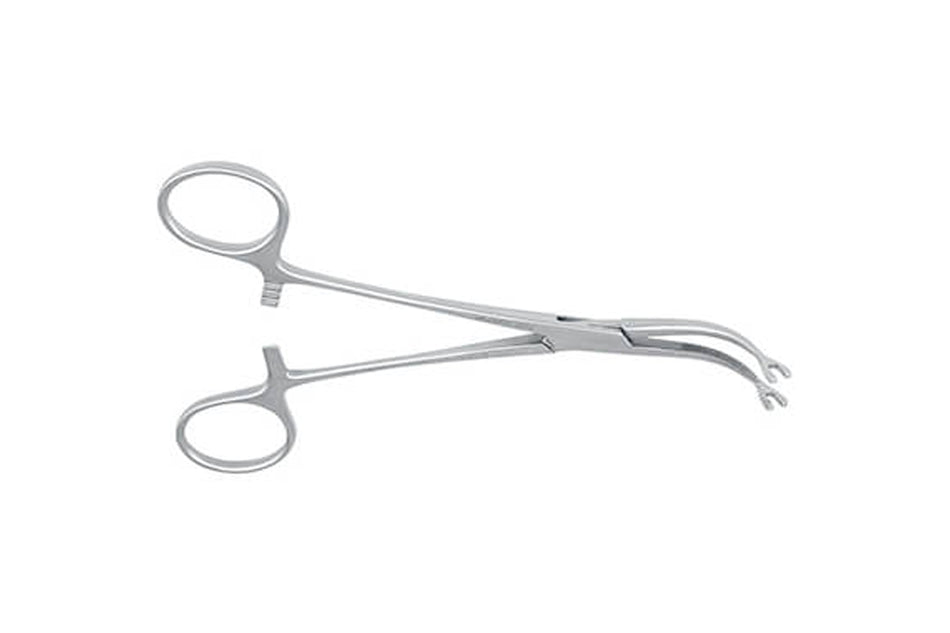 Bone holder pliers