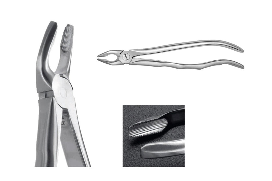 Maxillary premolar forceps