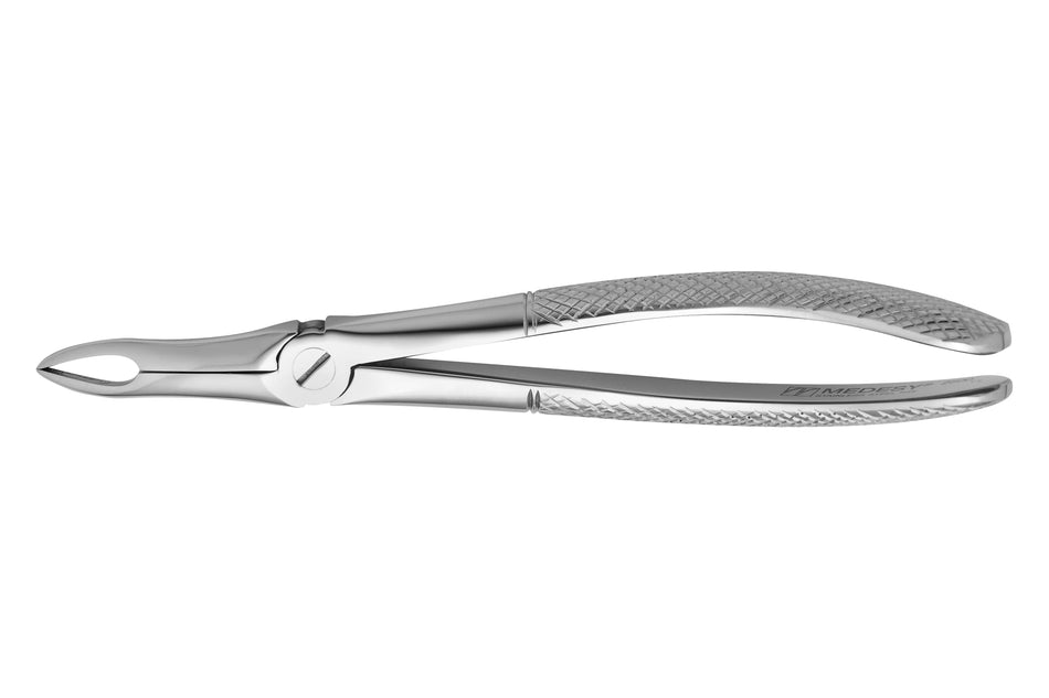 Upper jaw roots