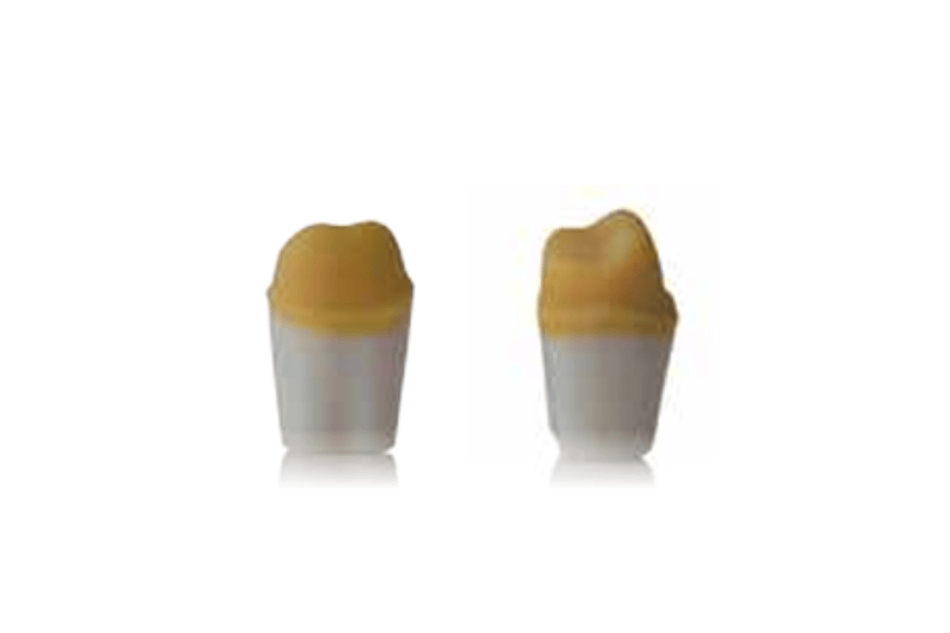 4D training teeth and educational models: Tooth 46