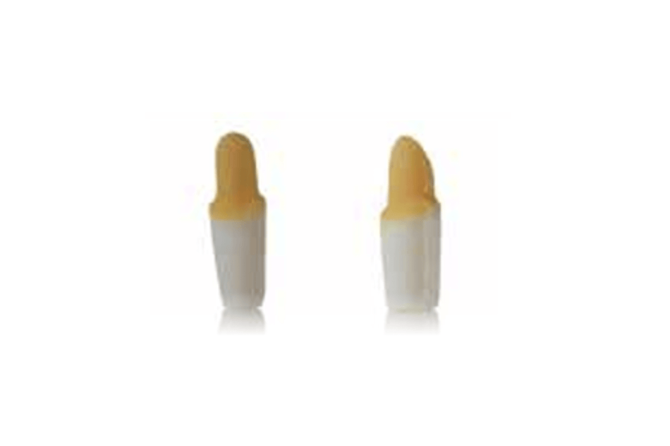 4D training teeth and educational models: Tooth 44