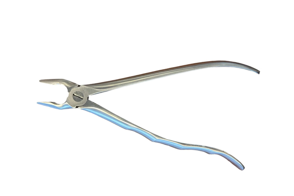 Extraction forceps, front and canine