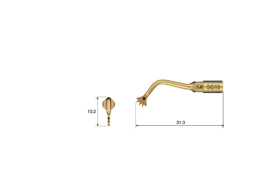 Titanium coated SG19